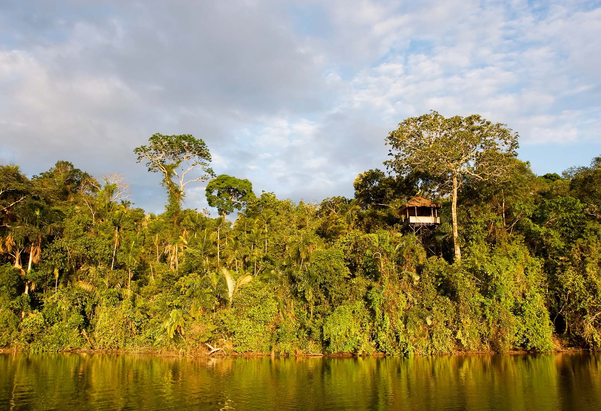 Tambopata Machu Picchu and Amazon Rainforest