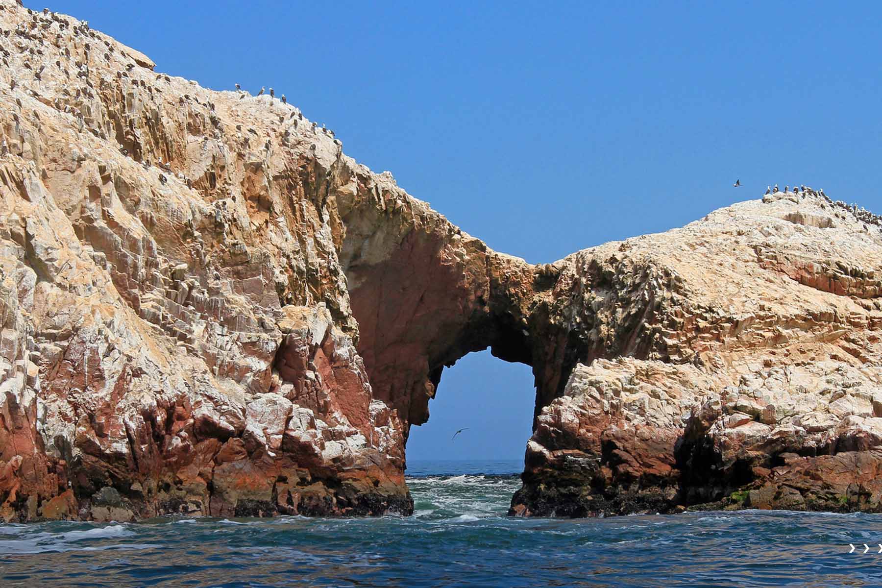 Ballestas Islands travel guide | TreXperience