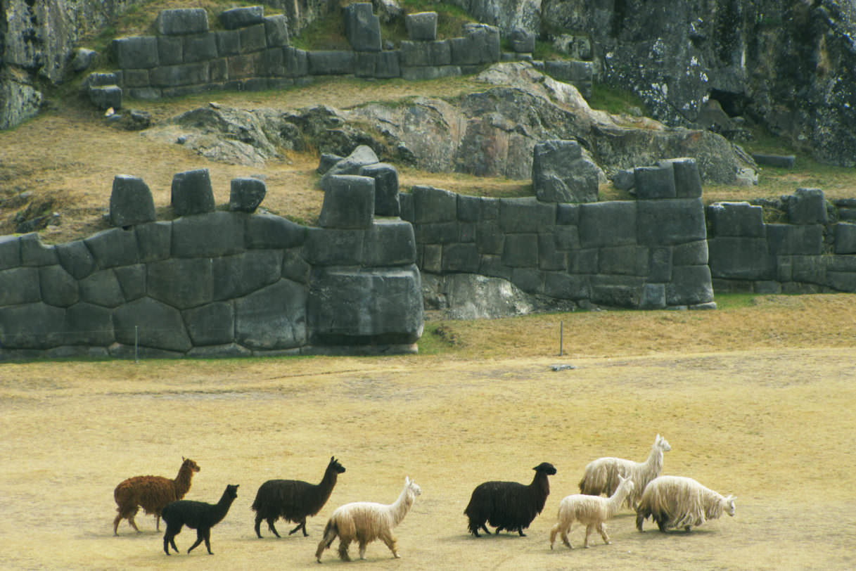 Sacsayhuaman - Best of Peru 11 days