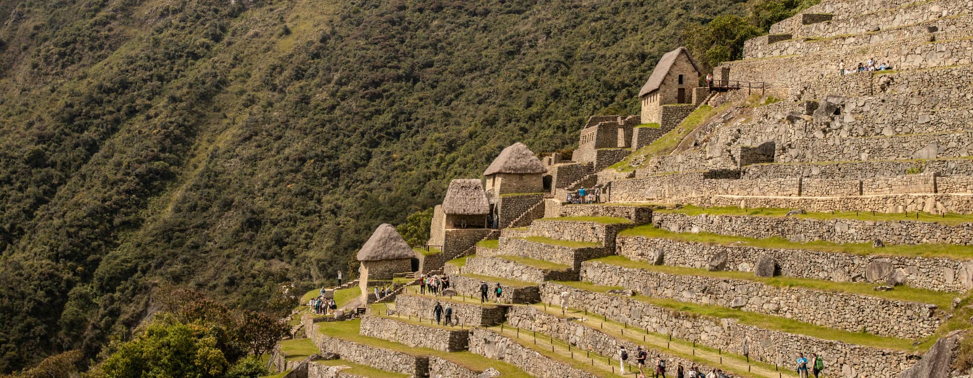 View of Machu Picchu terraces - Machu Picchu Day trip
