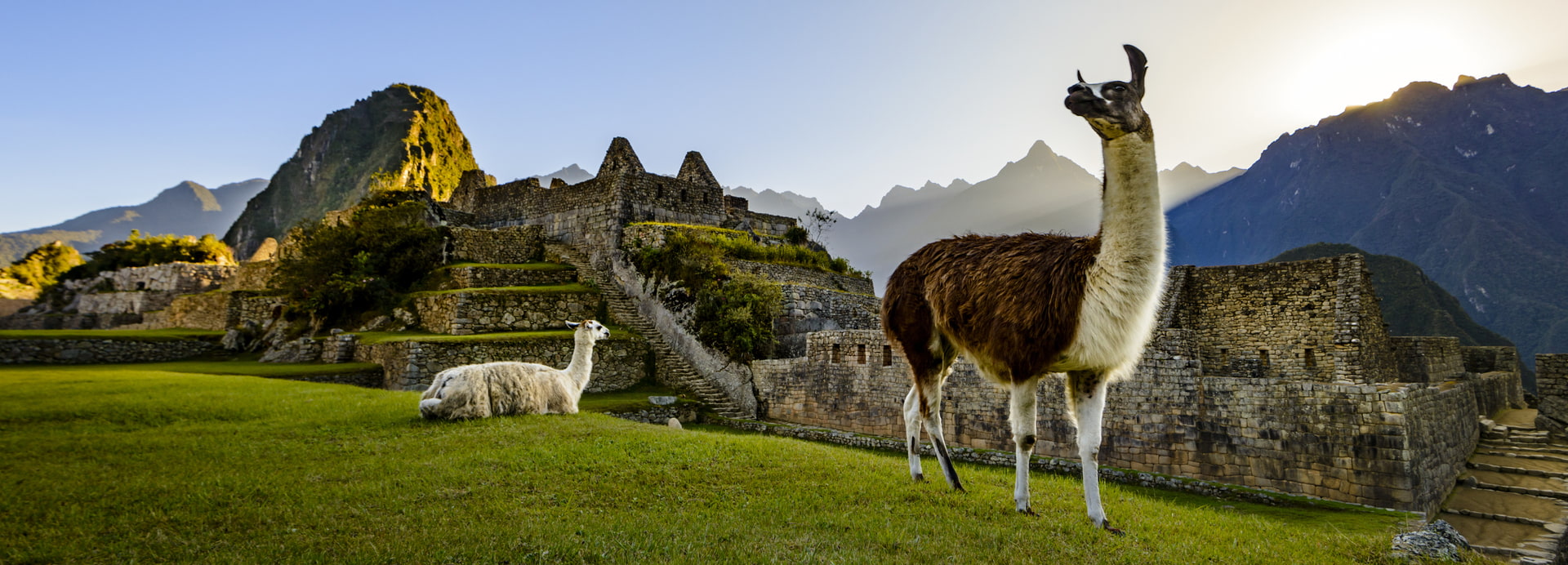 Machu Picchu Llama - Salkantay trek de lujo a Machu Picchu