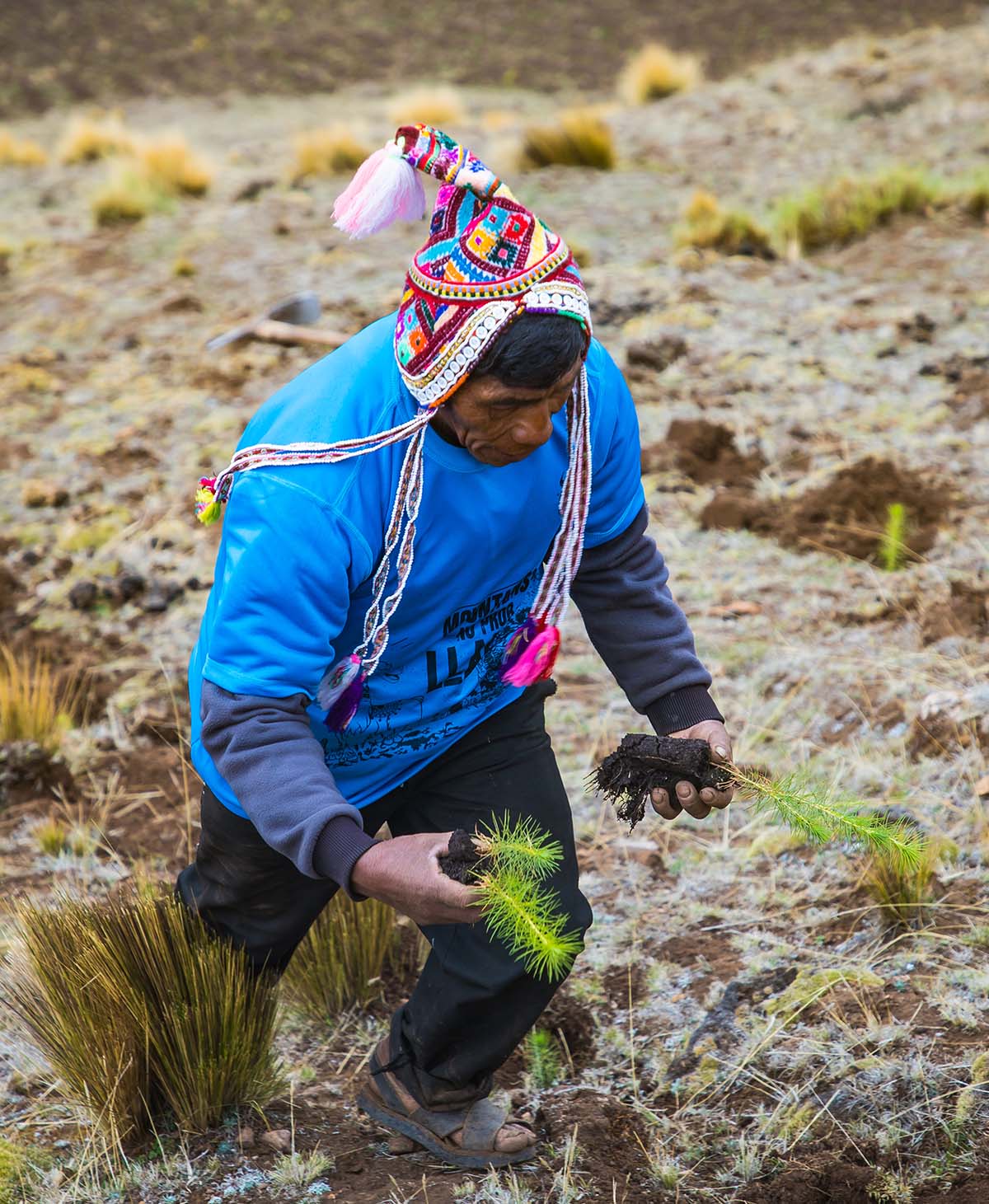 Environmental projects Trexperience Peru