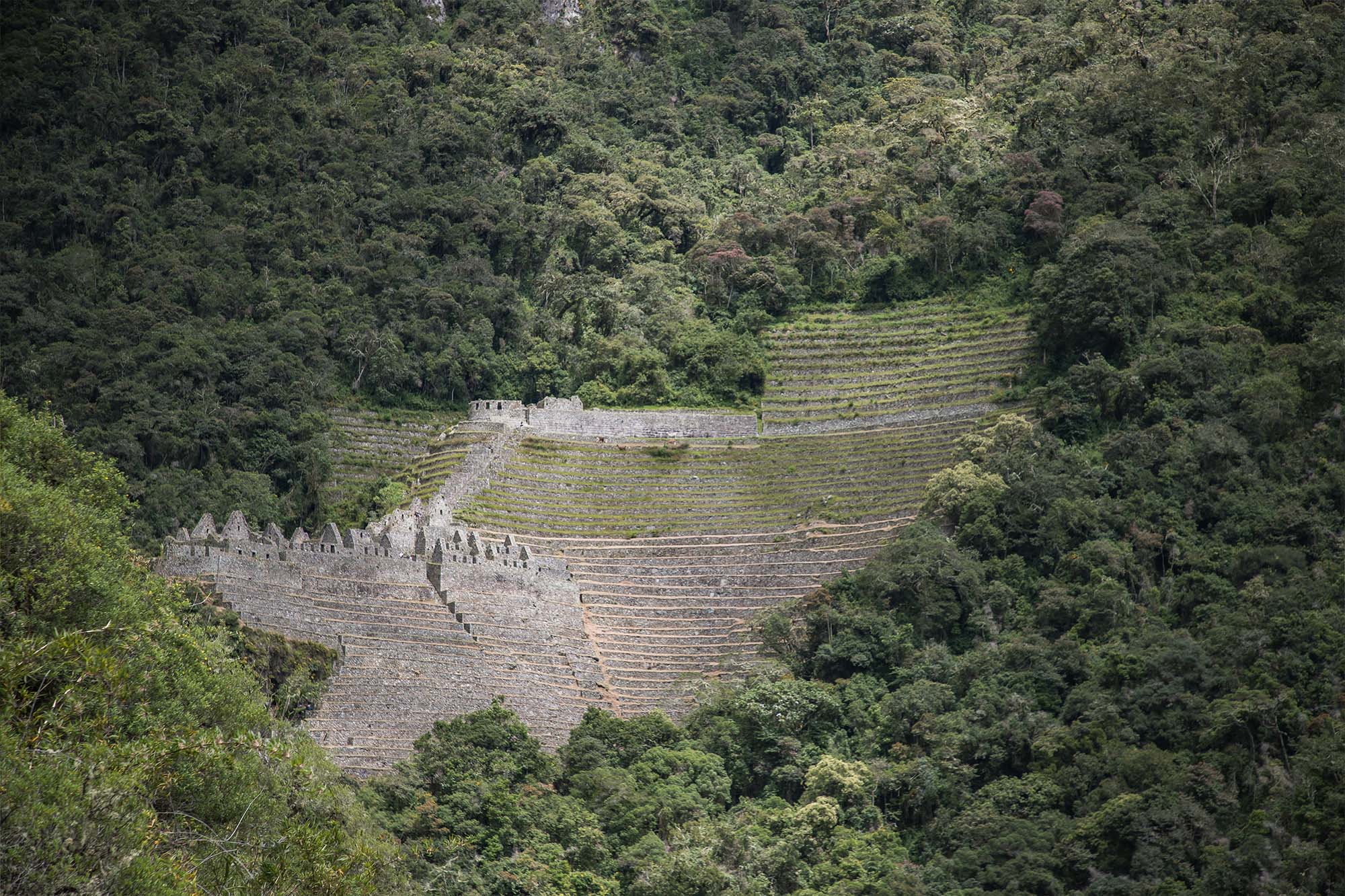 short inca trail and Sacred vallley