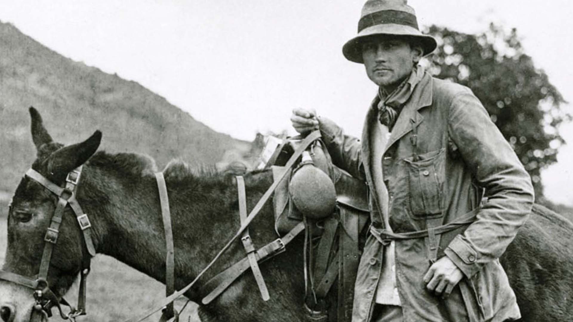 Hiram Bingham Peru | TreXperience