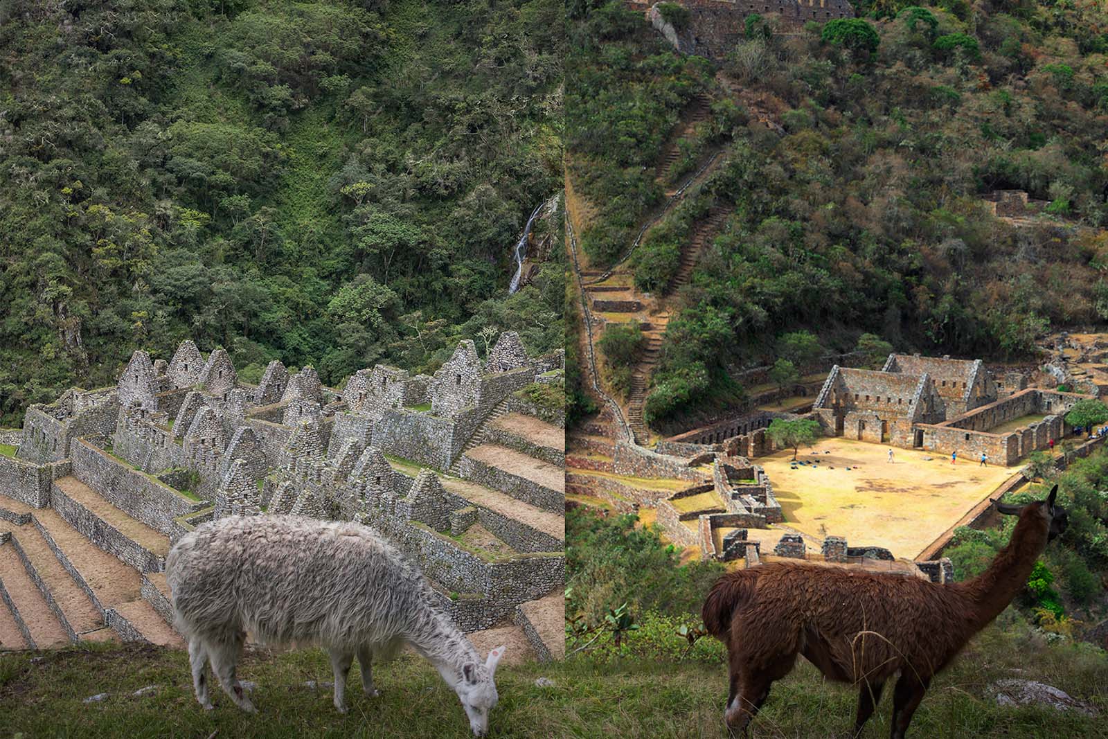 Inca Trail & Choquequirao Trek | TreXperience