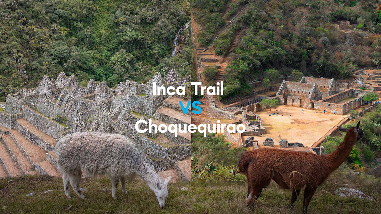 Choquequirao vs Camino Inca: Cuál elegir | TreXperience