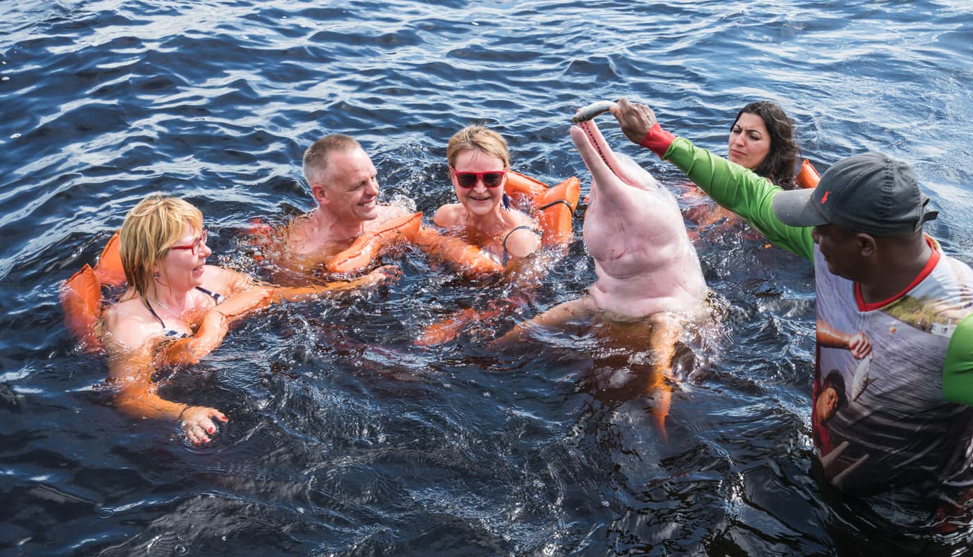 Amazon Pink River Dolphin