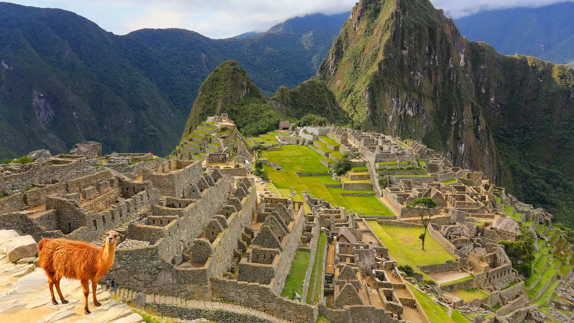 Machu Picchu in April | TreXperience