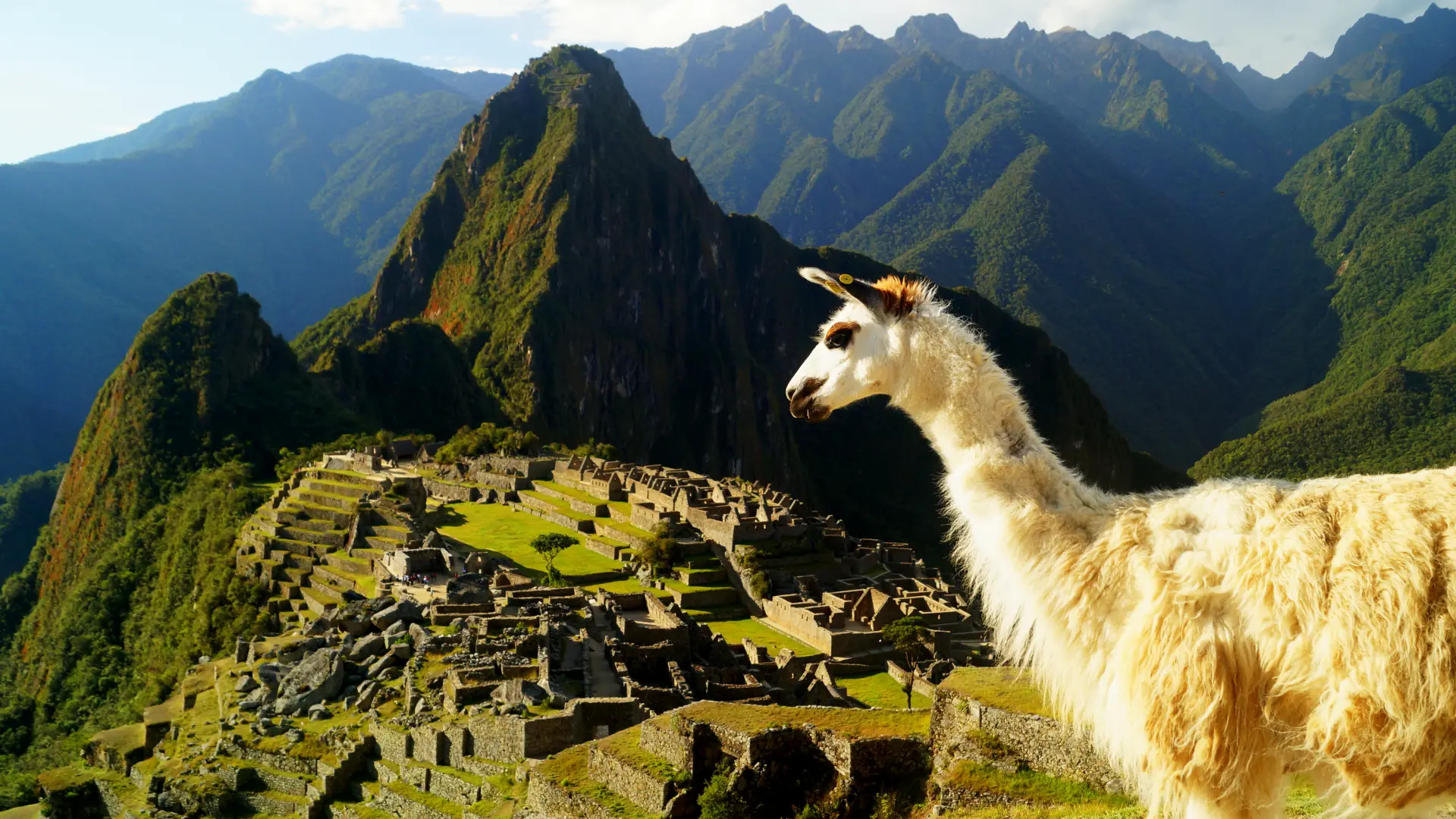 Machu Picchu in June | TreXperience