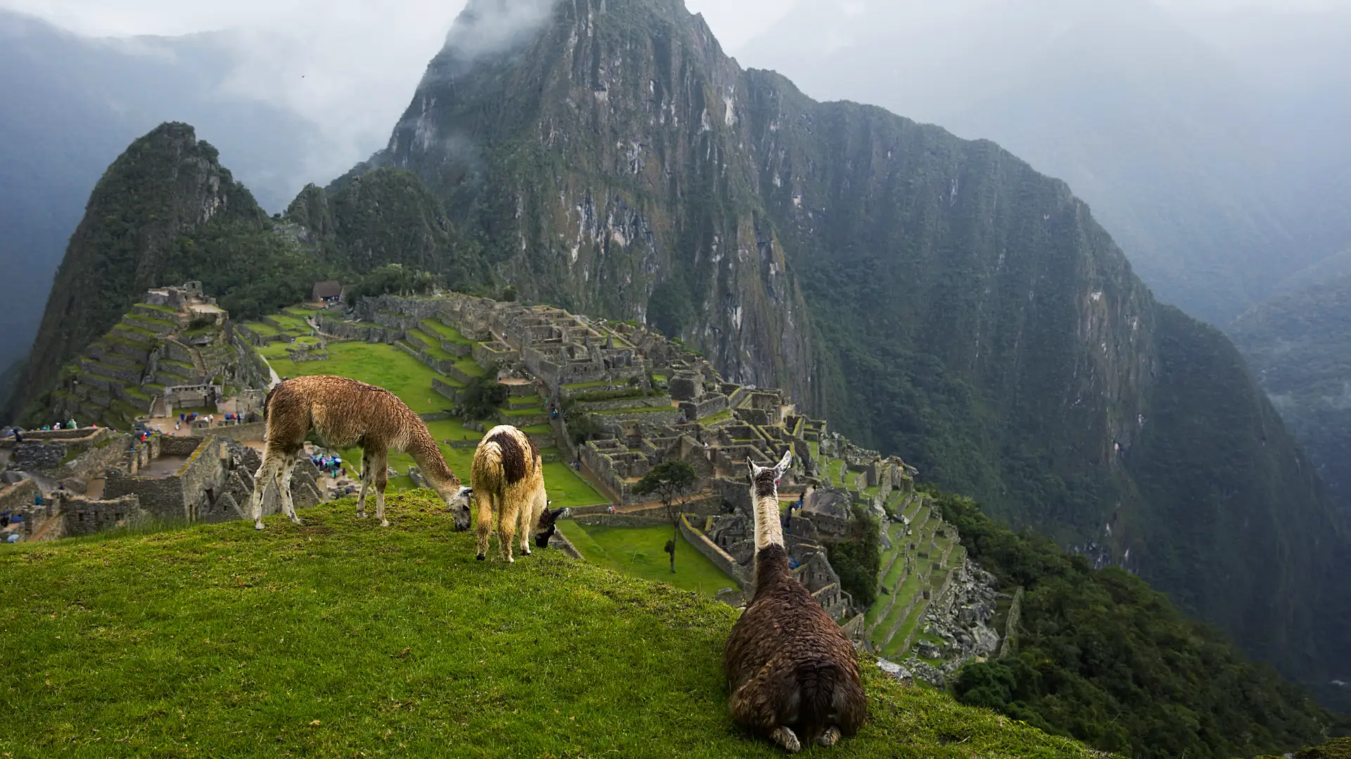 The weather of Machu Picchu in March | TreXperience