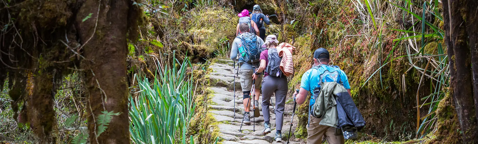 Group of hikers walking through the cloud forest on the Inca Trail to Machu Picchu
