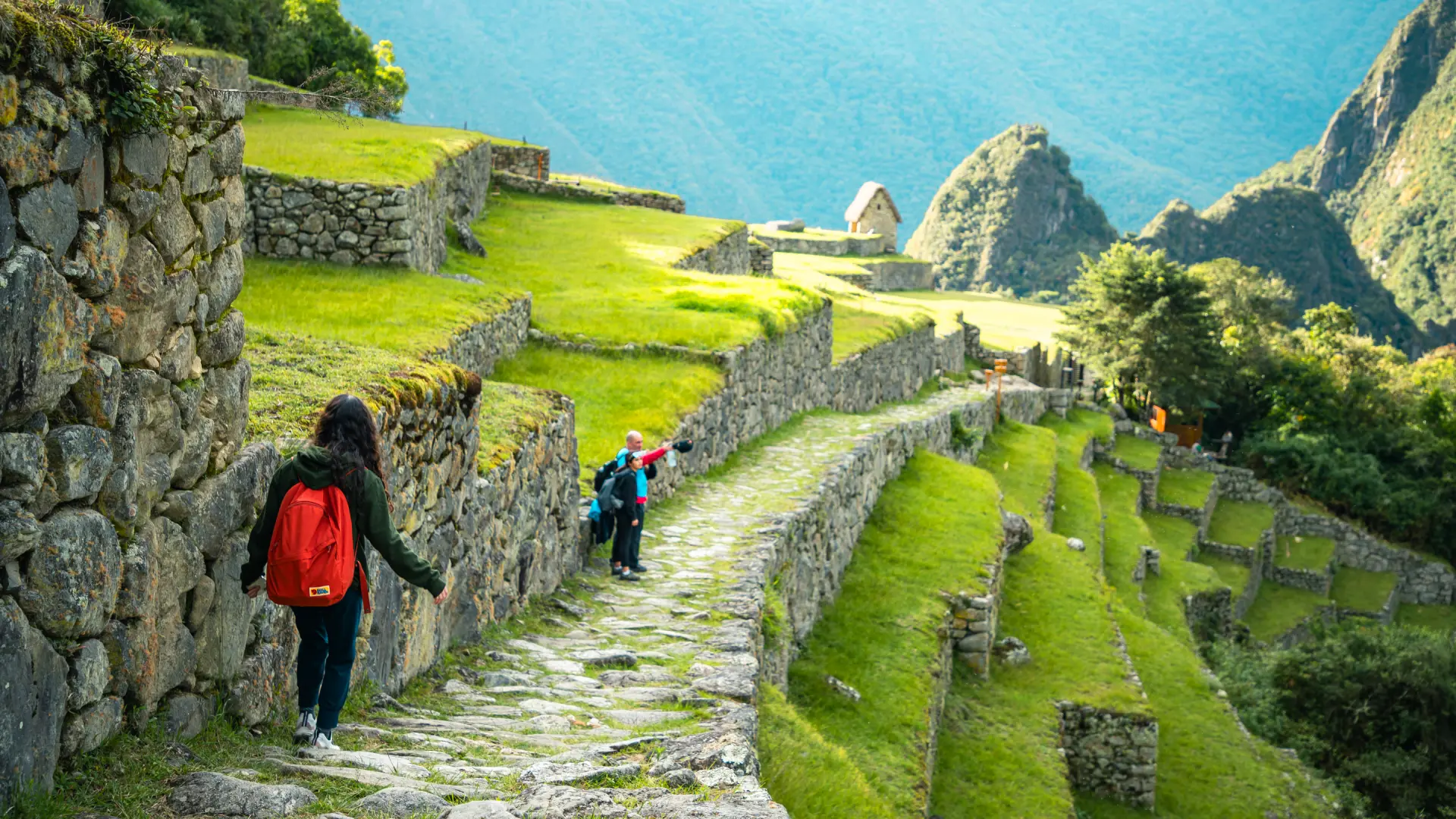 Chasquis on the Inca Trail | TreXperience