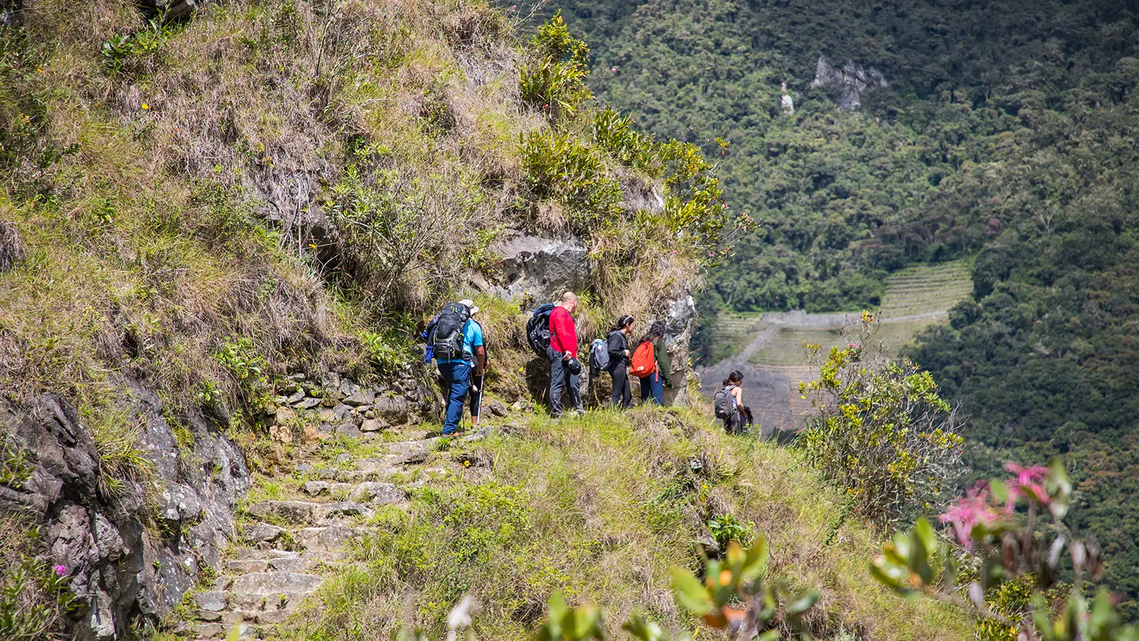 Section of the Short Inca Trail - Luxury Machu Picchu Tours | TreXperience