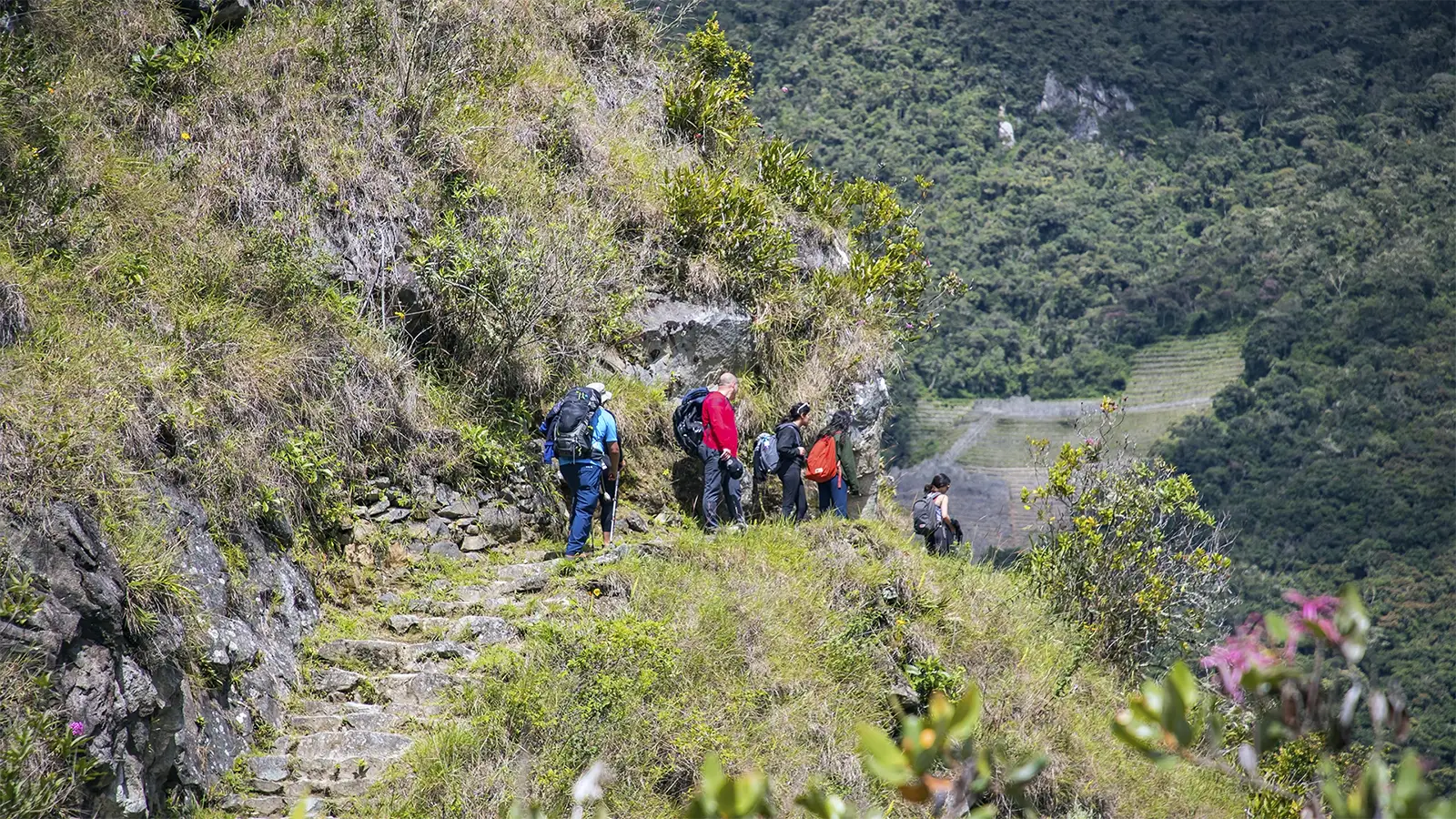 Short Inca Trail to Machu Picchu | TreXperience