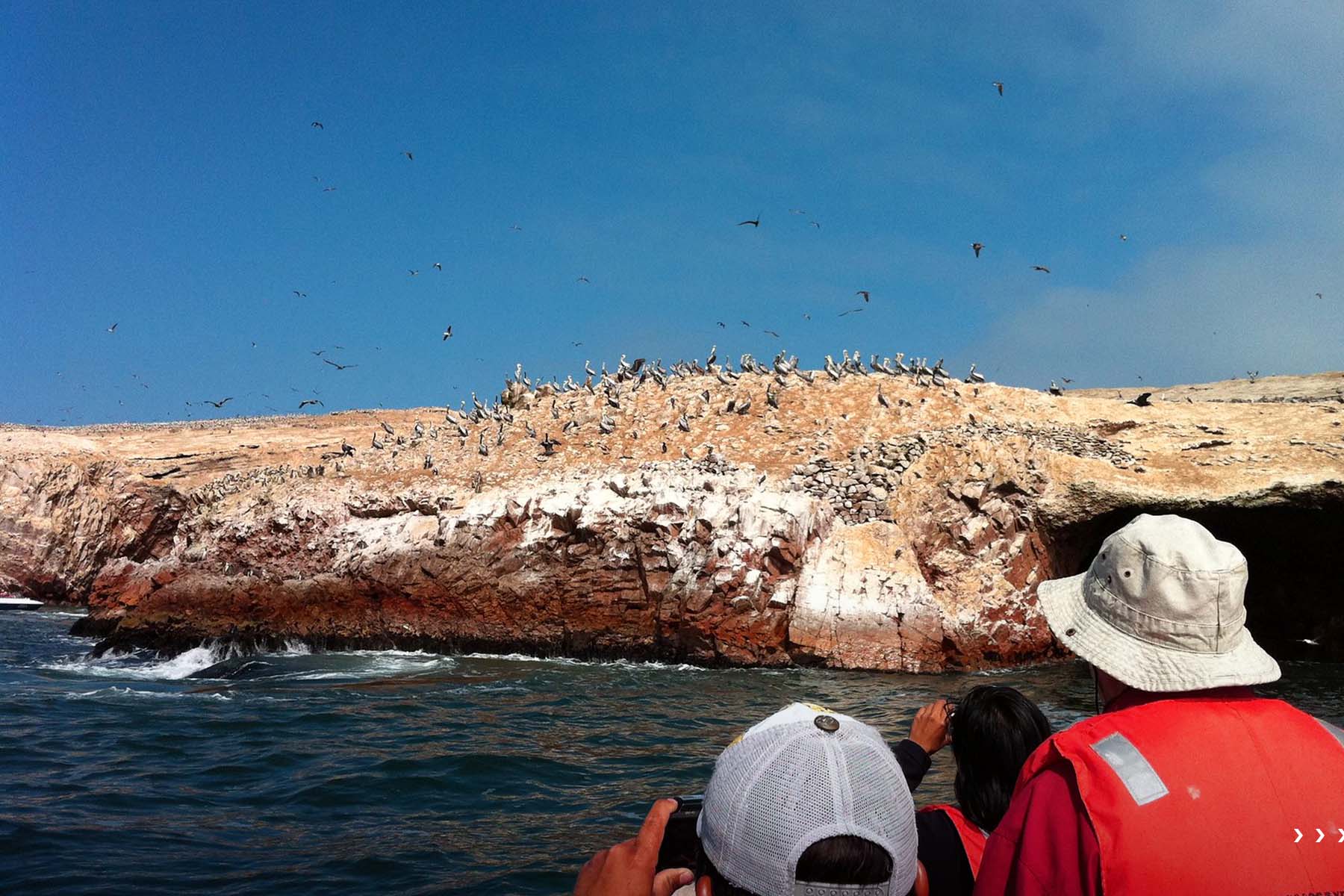 Ballestas Islands | TreXperience