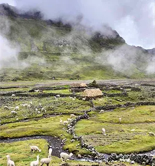 Lares Trek