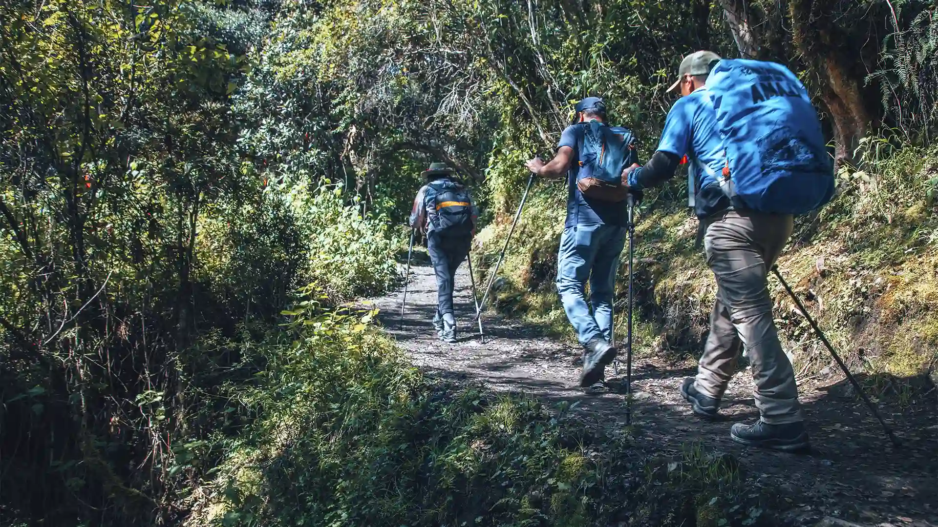 trekking vs hiking | TreXperience