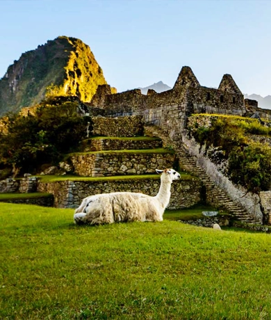 Machu Picchu en tour Maras, Moray y Machu Picchu | TreXperience