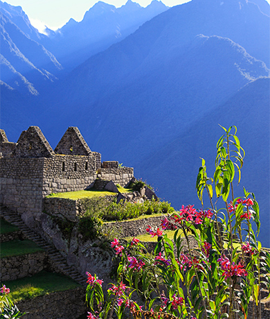 Cusco Valle Sagrado Machu Picchu 3 dias | TreXperience