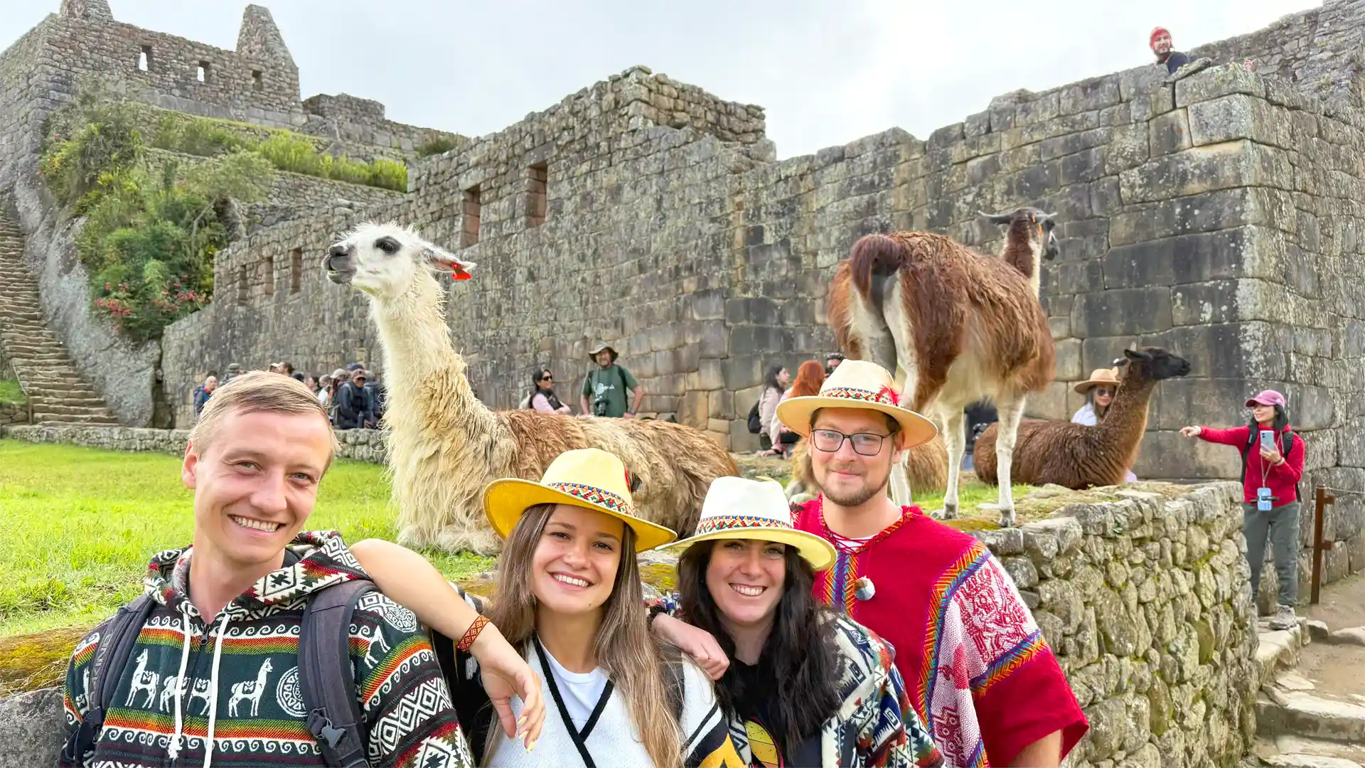 Mejores tours a Machu Picchu | TreXperience