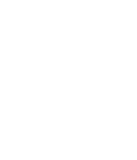 N1 tour operador