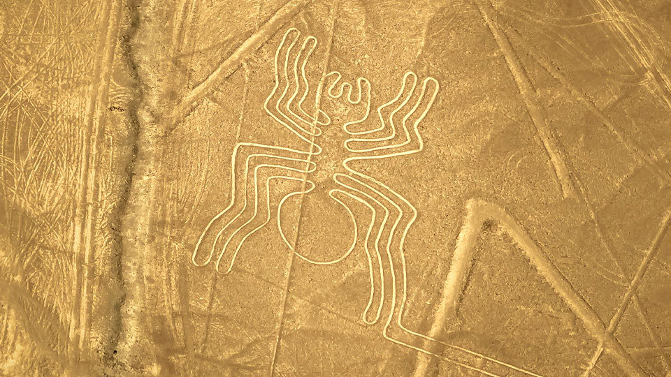 The enigmatic Nazca Lines The enigmatic Nazca Lines | TreXperience