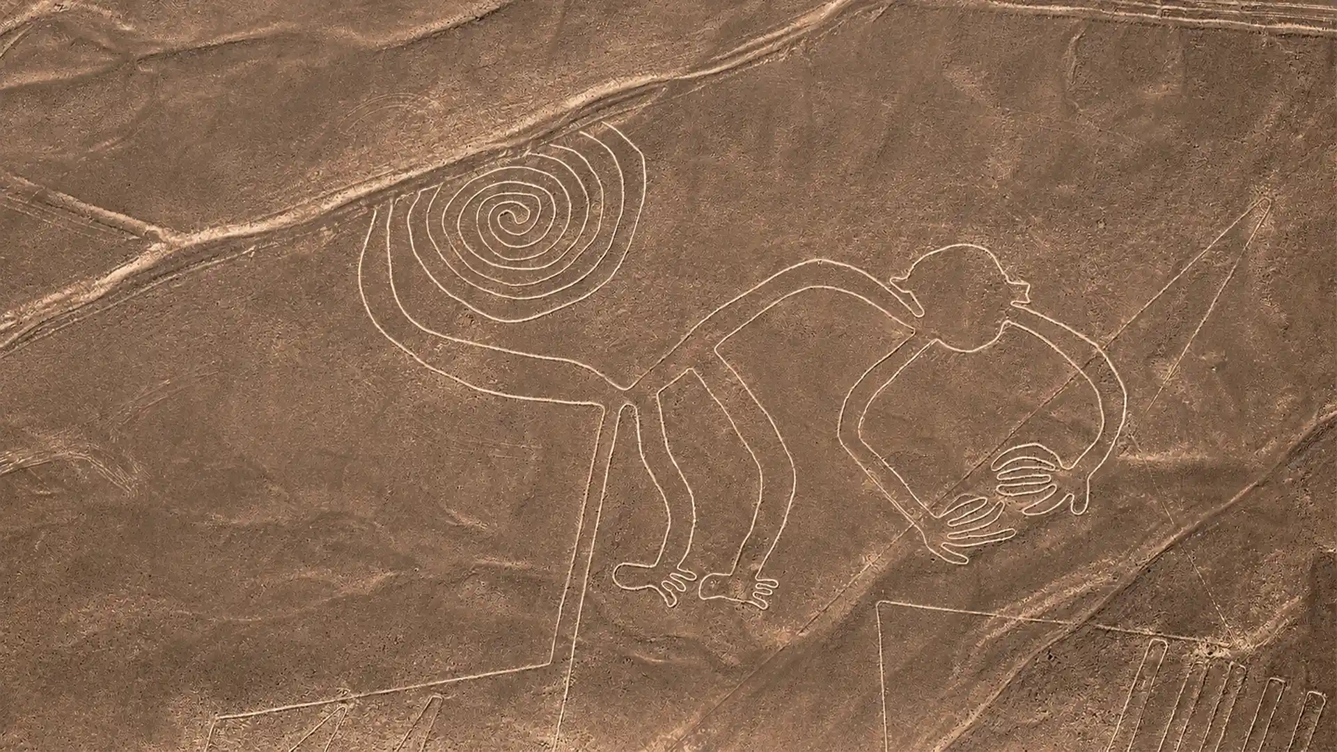 The Monkey of the Nazca Lines - TreXperience