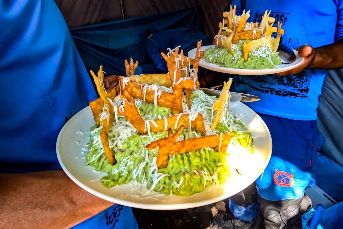 Chef holding a plate of vegetarian food served with vegetables and a colorful centerpiece | TreXperience