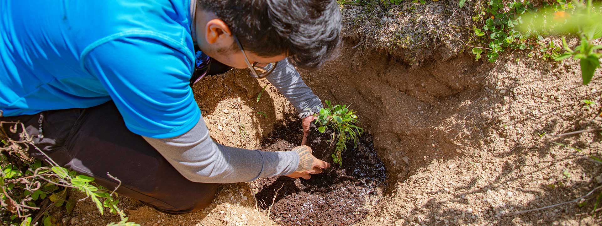 Trexperience environmental projects