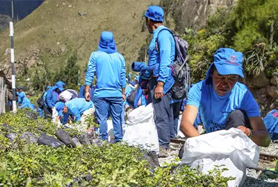 TreXperience Environmental Projects