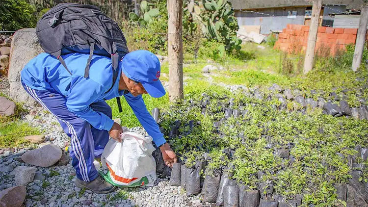 TreXperience planta árboles en los Andes