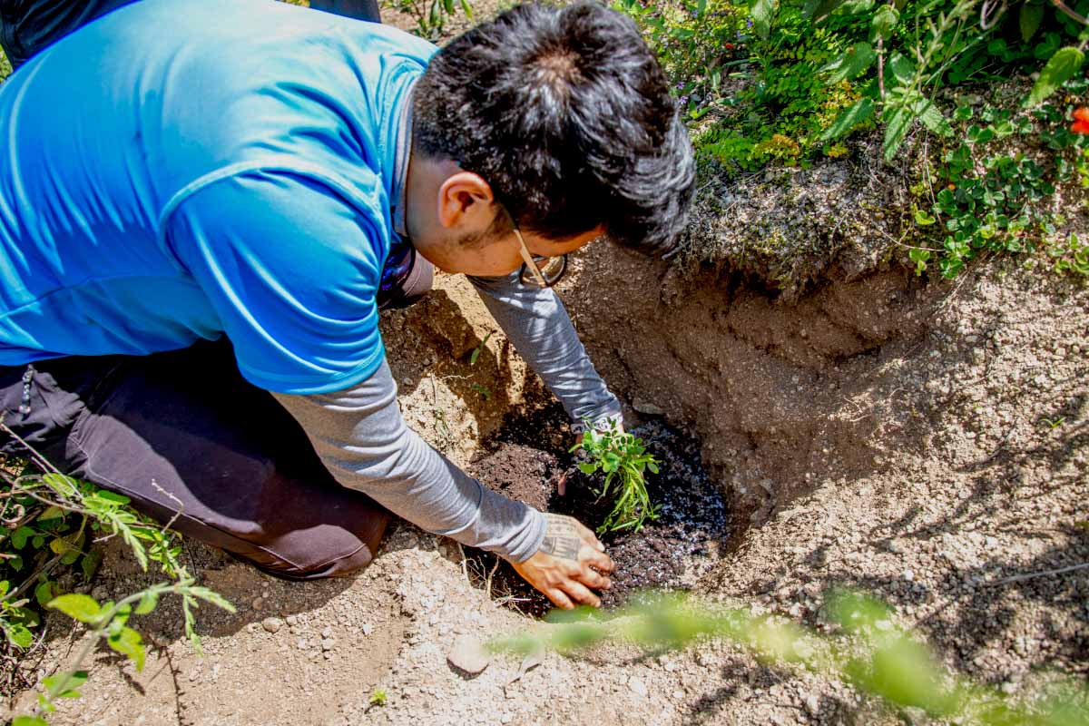 Personal de TreXperience plantando un árbol