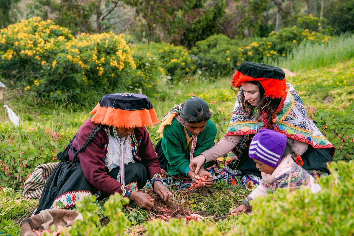 Andean women and a traveler working in agricultural fields in Cusco | TreXperience