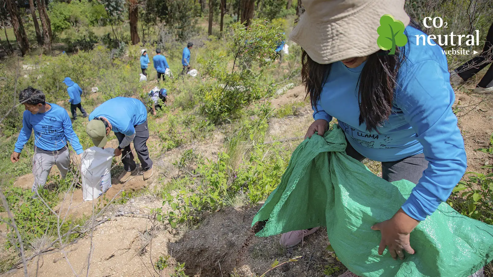 Co2 Neutral TreXperience reforestation