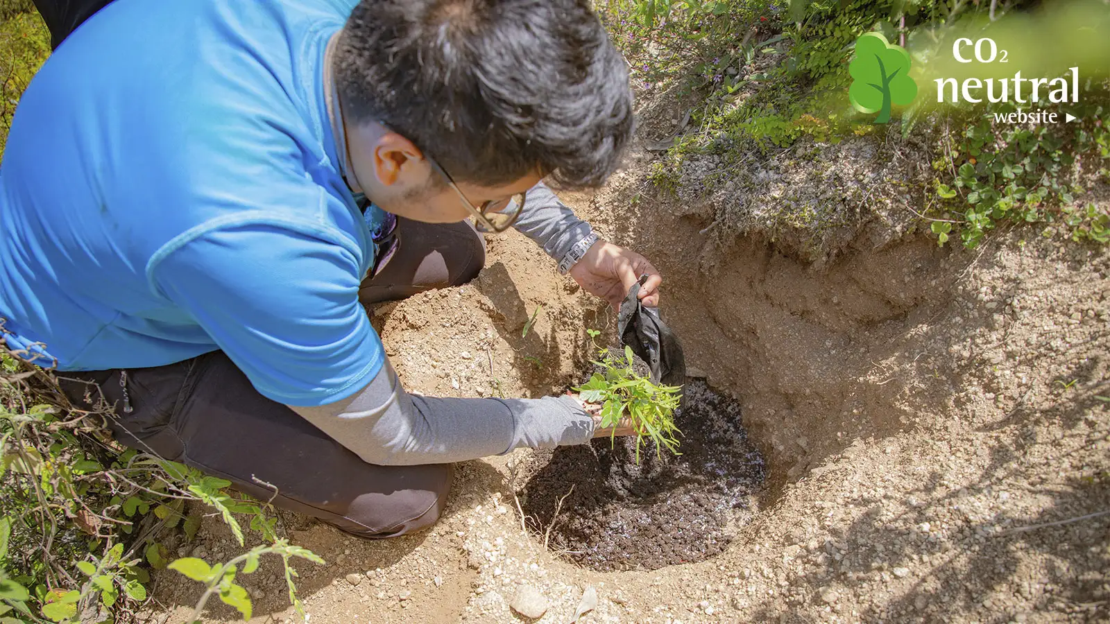 Co2 Neutral TreXperience tree planting