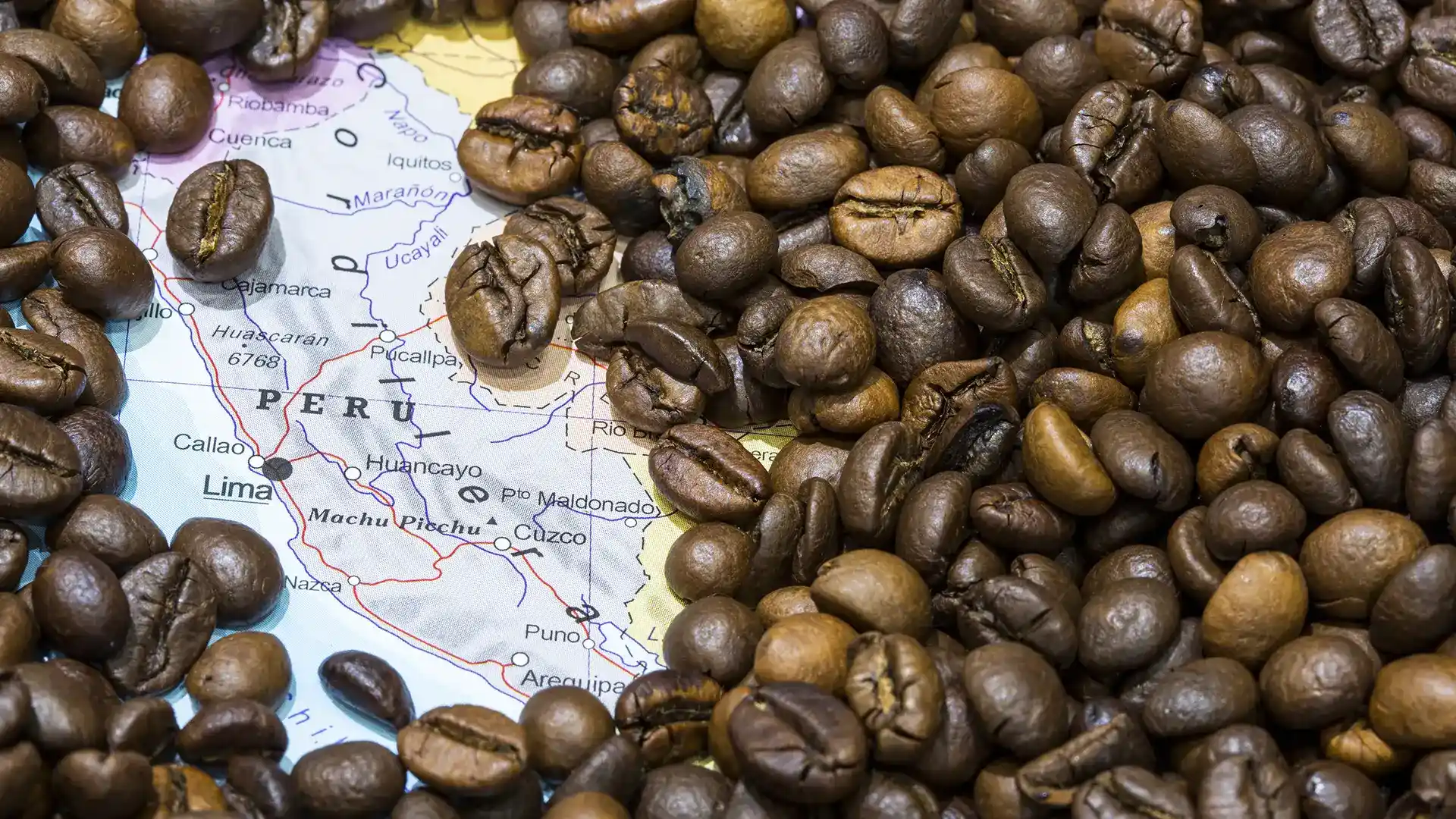 Café peeruano | TreXperience