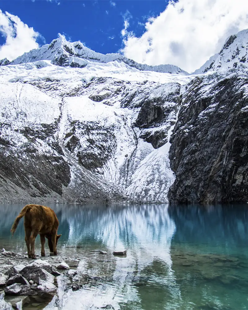 Laguna 69