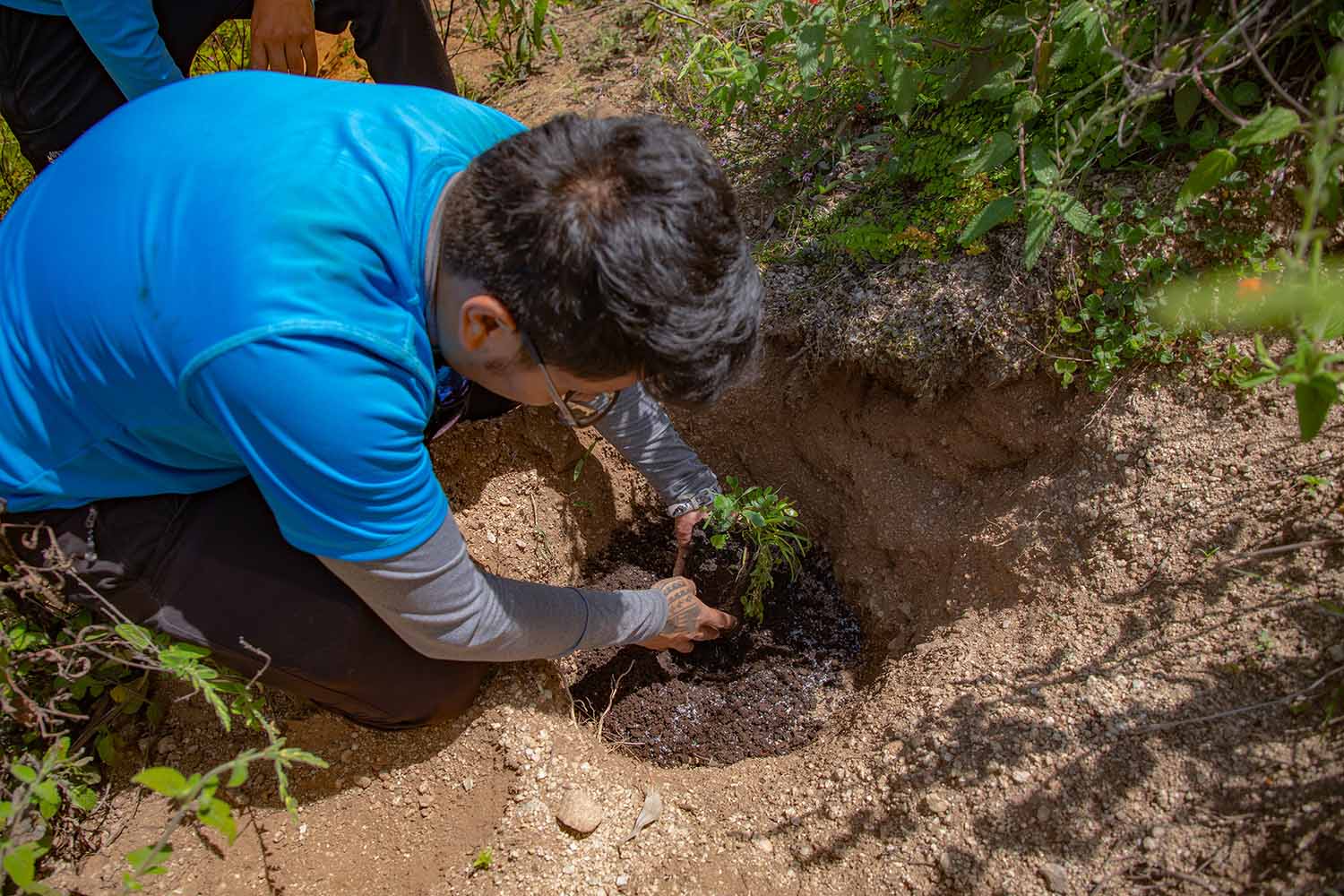  A boy planting a tree | TreXperience