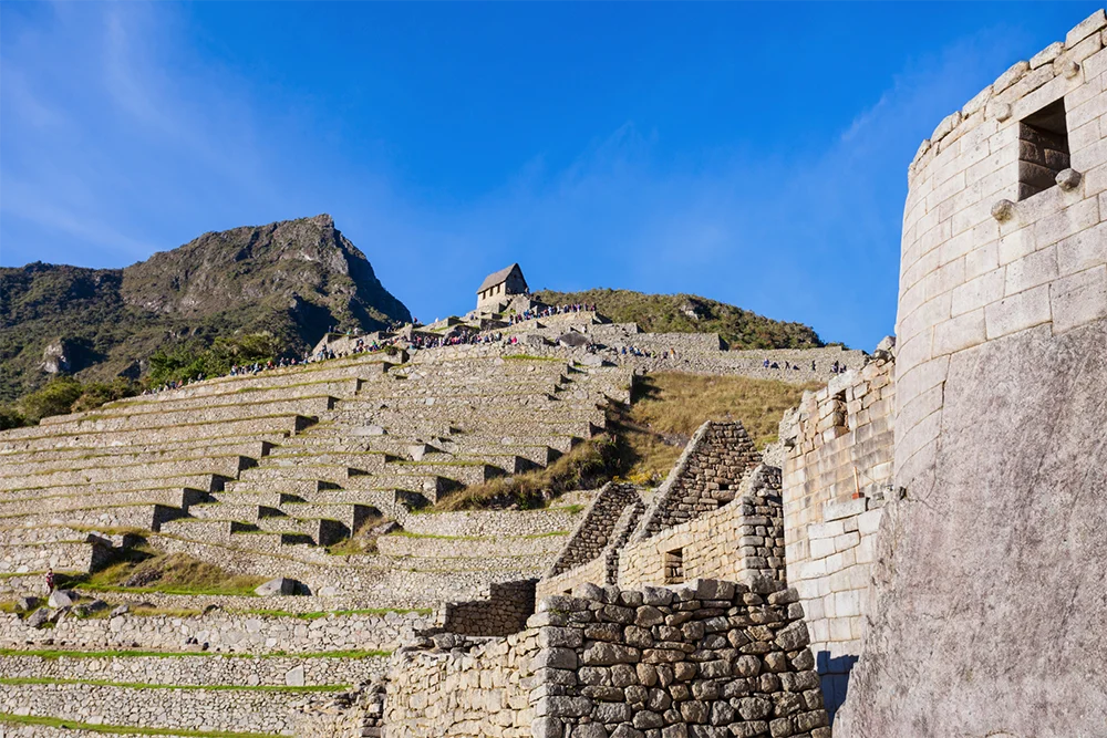 Agricultural terraces of Machu Picchu - Best Machu Picchu Pictures | TreXperience