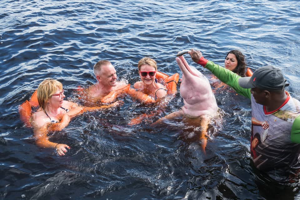 Amazon Pink River Dolphin