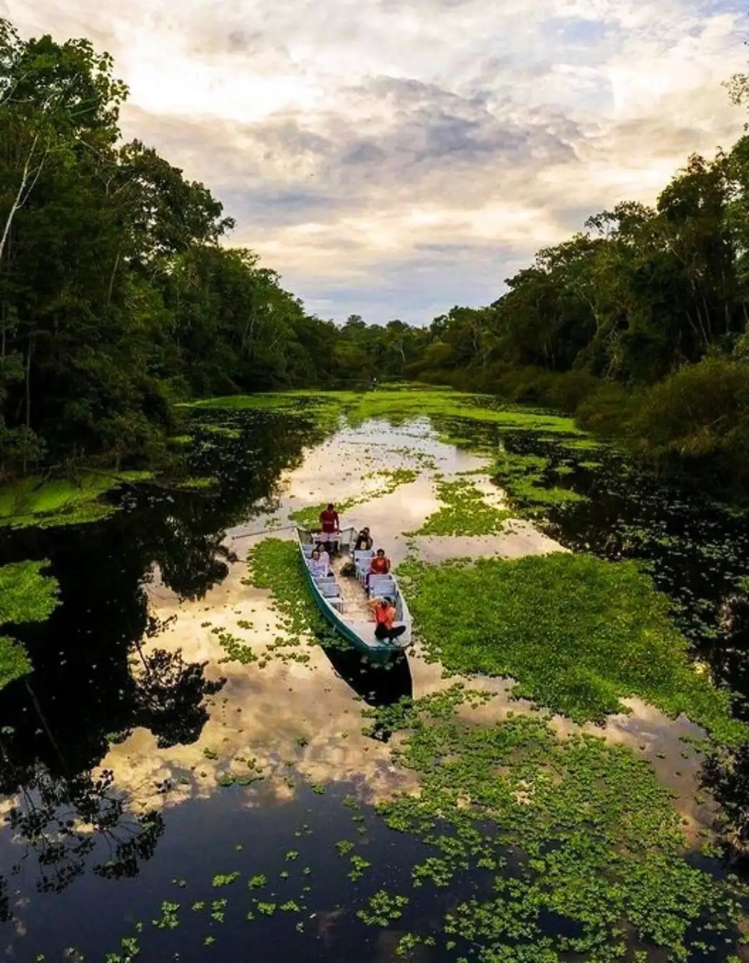 Selva amazónica de Perú | TreXperience