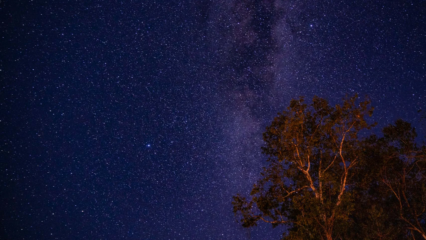 Amazon Sky at Night | TreXperience