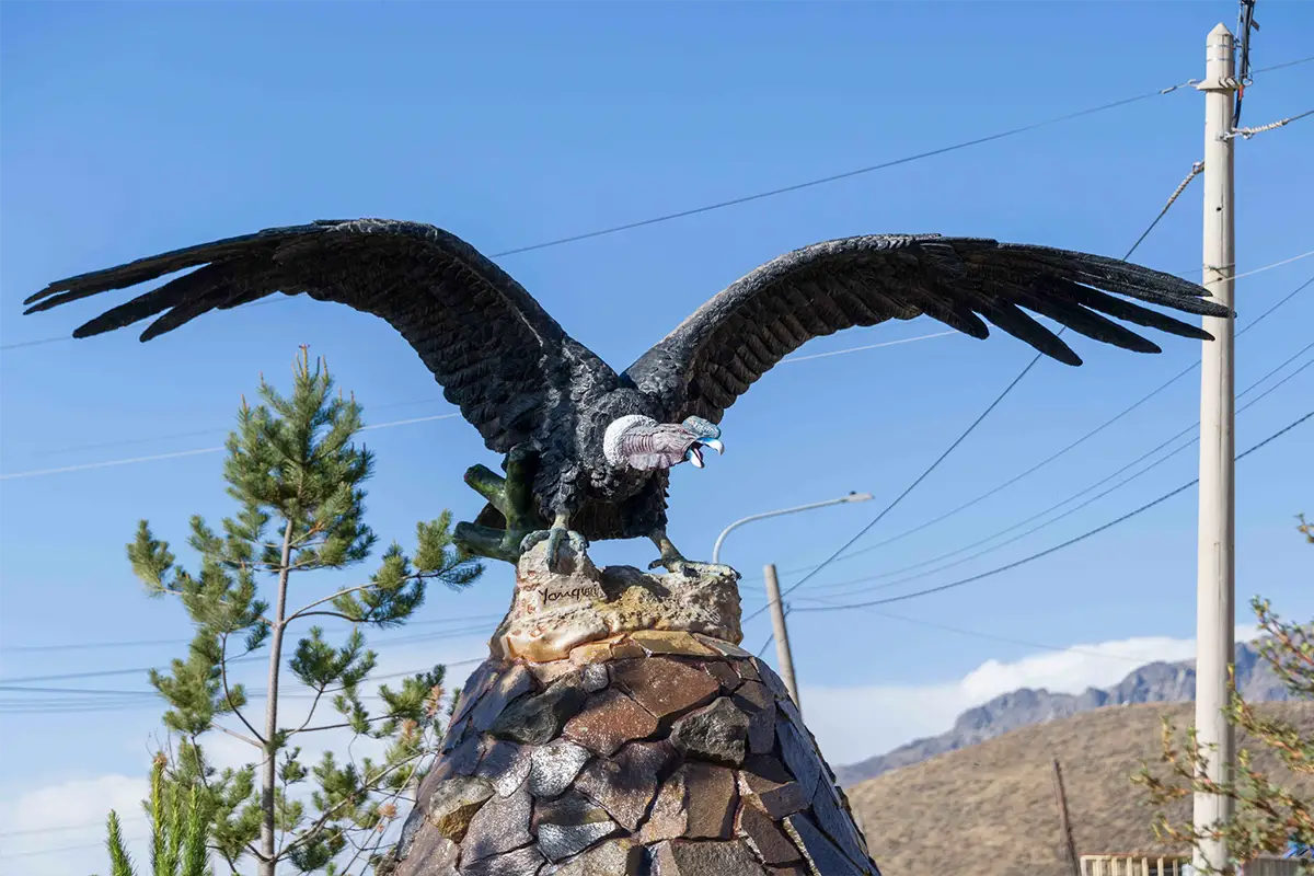 caracteristicas condor | TreXperience