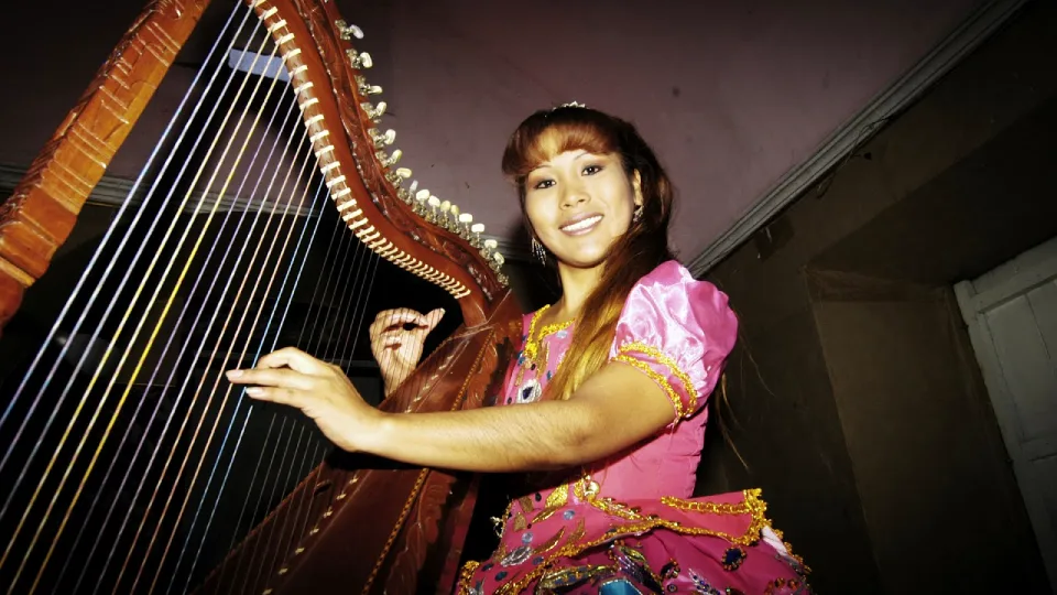 Andean Harp | TreXperience