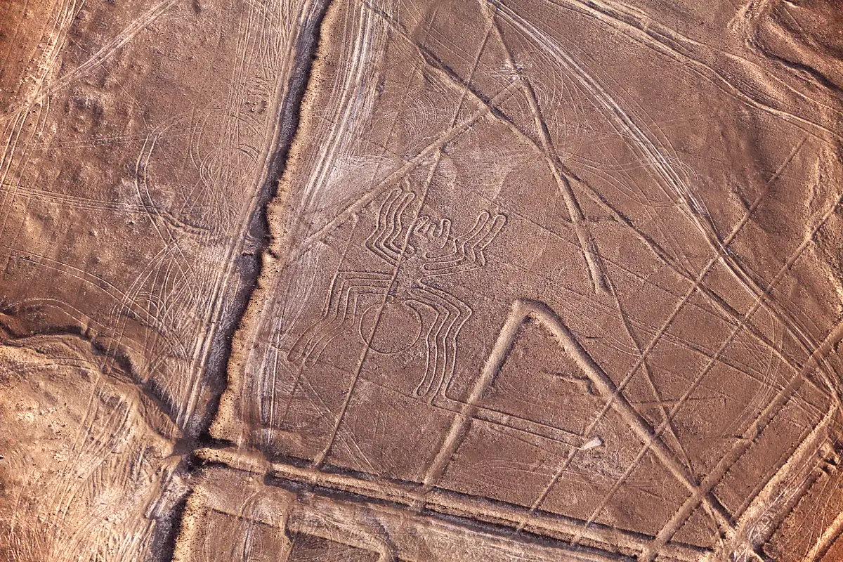 Nazca spider geoglyph | TreXperience Nazca spider geoglyph | TreXperience