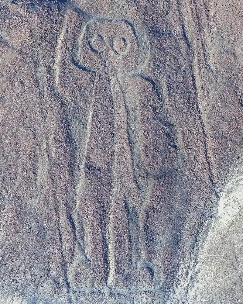 The Astronaut - Nazca Lines