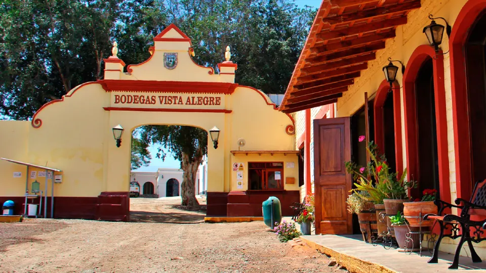 Bodega Vista Alegre | TreXperience