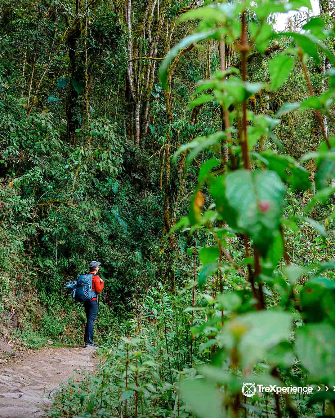 Inca Trail Peru | TreXperience