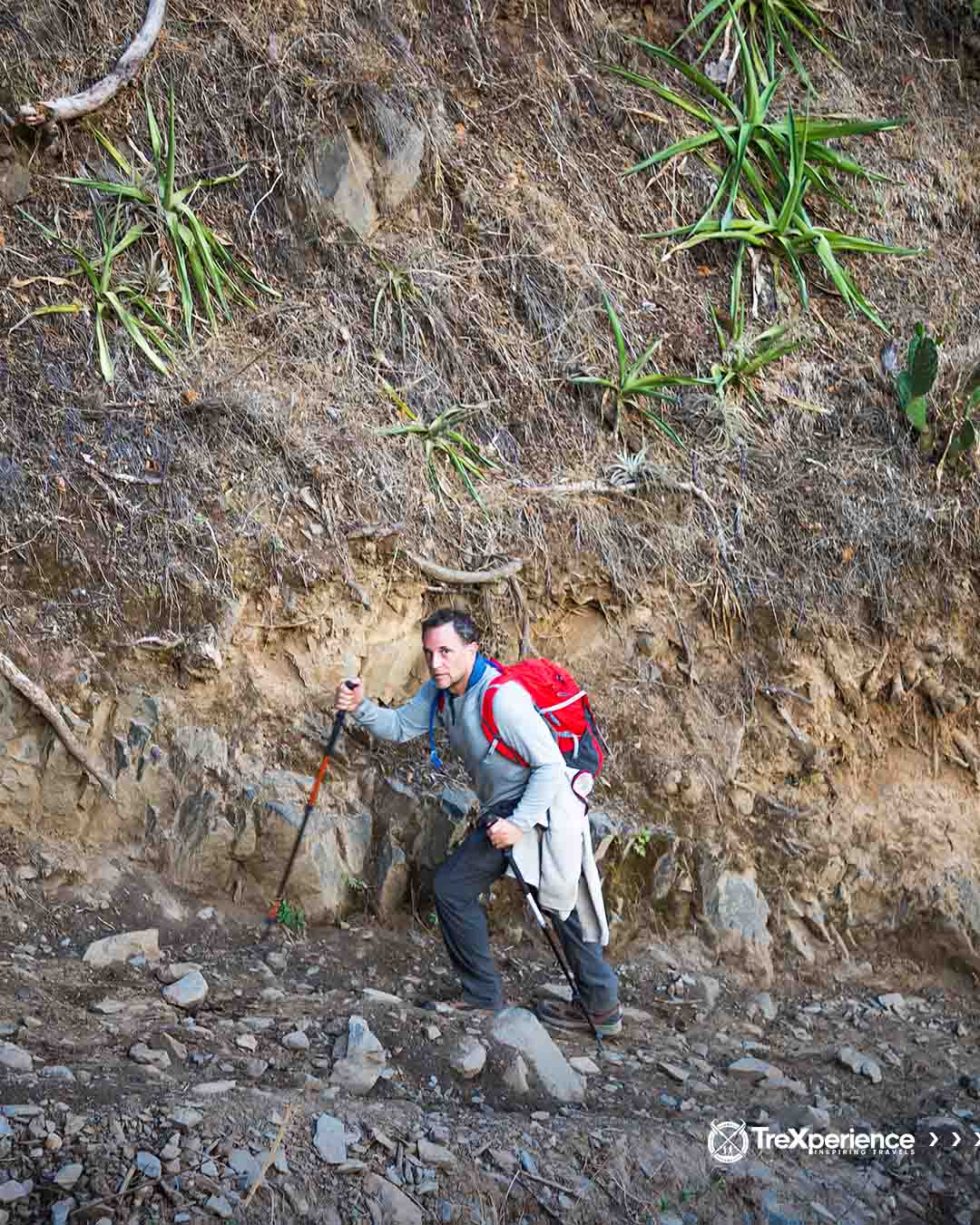 Choquequirao trail | TreXperience