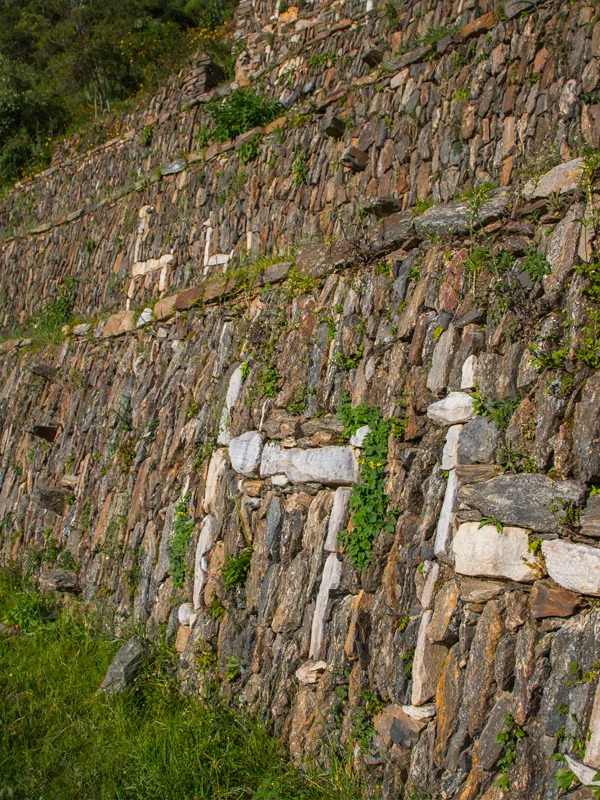 Choquequirao Llama Walls Walls with Llama Figures at Choquequirao | TreXperience